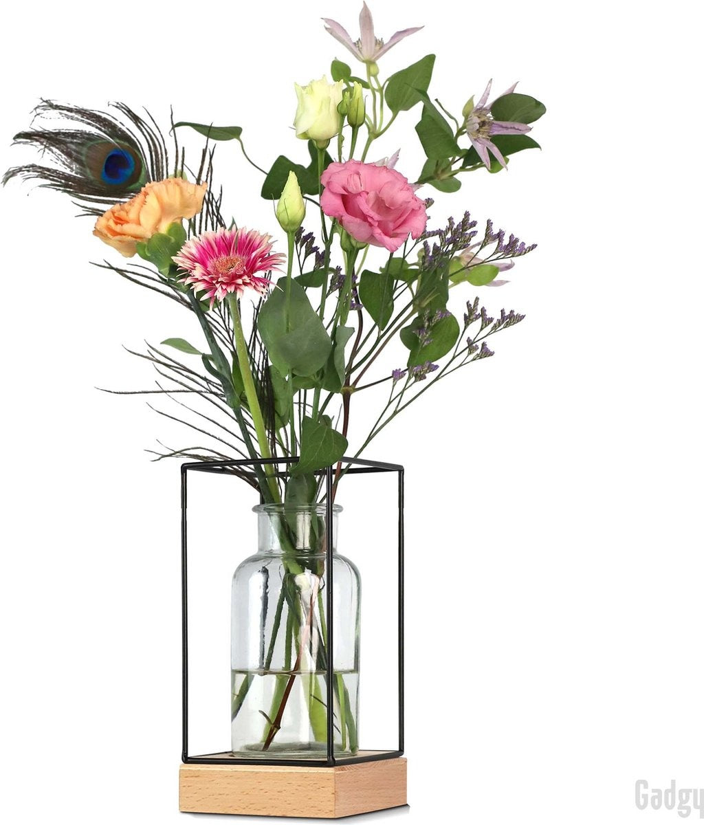 Gadgy Vase mit LED-Beleuchtung - Vasenlampe - Glasvase mit Lampe - Muttertagsgeschenk - Hydroponisch - Batteriebetrieben - Tischlampe - Ã˜11cm