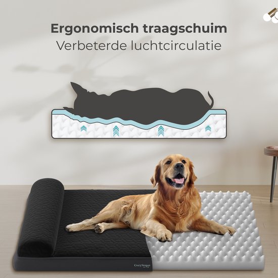 CozySense® Orthopädisches Hundekissen - 60 X 42 cm - Größe S - Wasserfest - Geeignet als Sitzkissen & Hundebett - Waschbarer Bezug - Schwarz