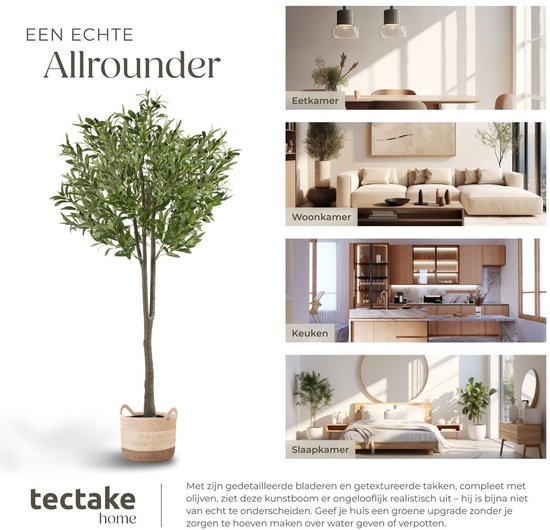 tectake® - Künstlicher Olivenbaum Oleand - Mediterrane Kunstpflanze mit realistischen Blättern und Oliven - Pflegeleicht und vielseitig einsetzbar - Inklusive stabilem Blumentopf - Höhe: 150 cm