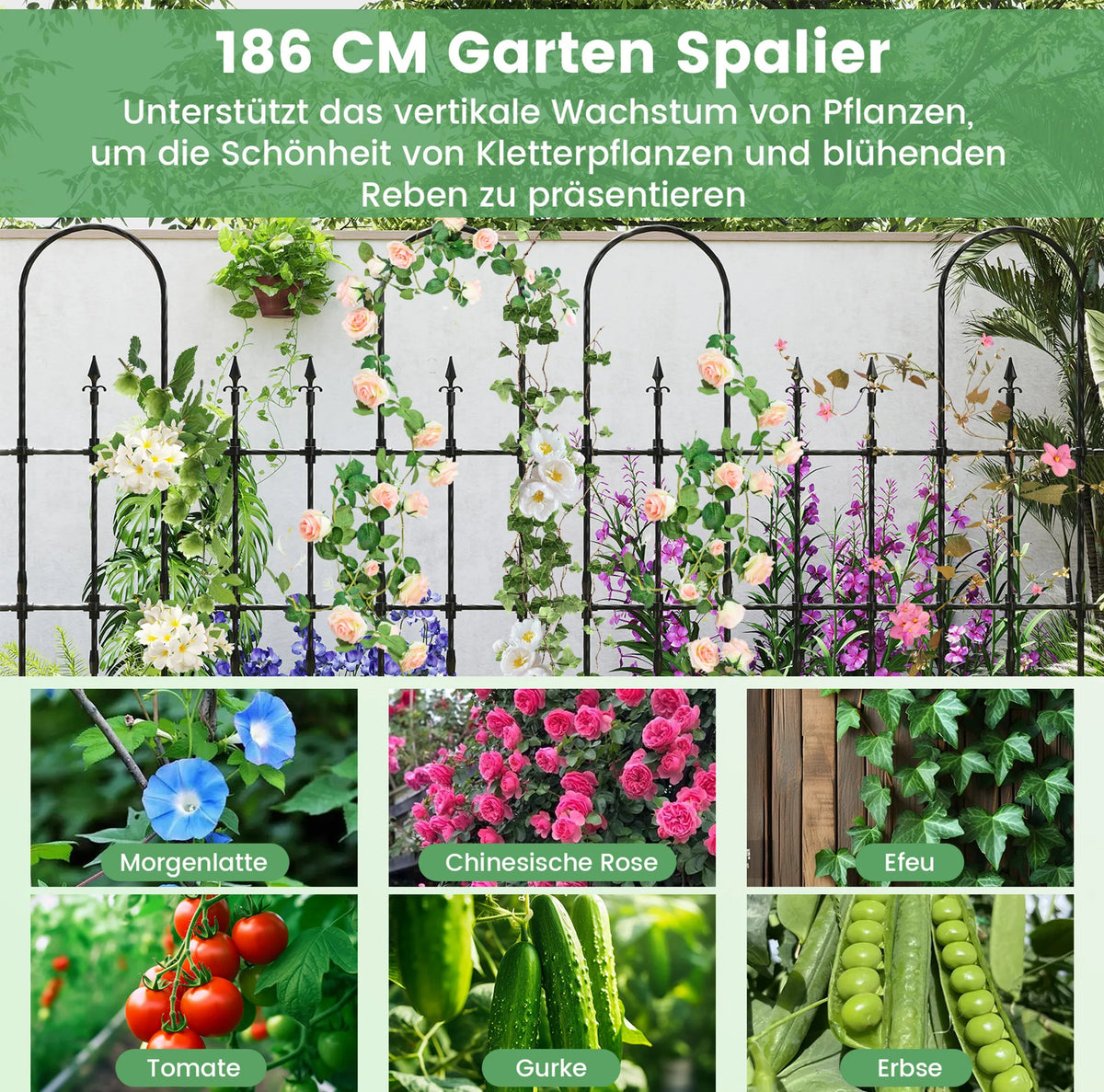Coast Pflanzenregal für Kletterpflanzen und Rosen - 146 x 186 cm - Schwarzes Metall-Gartenregal für Blumen, Gemüse und Kletterpflanzen