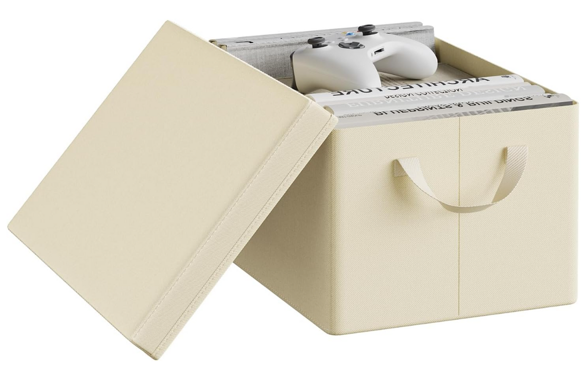 WOLTU Aufbewahrungsbox mit Deckel – Creme – 38 x 27 x 20 cm – Zusammenklappbar, 20 Liter