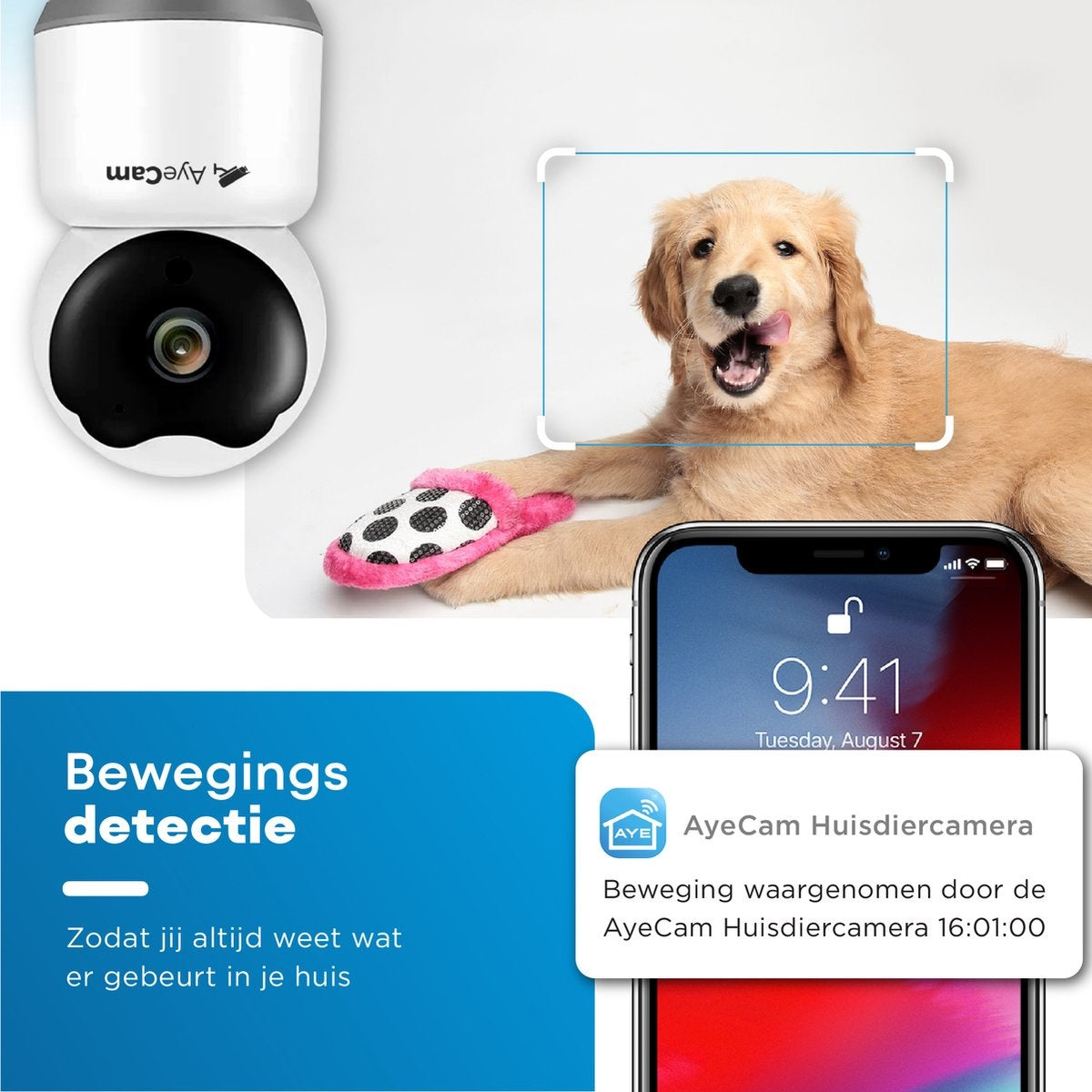 AyeCam Haustierkamera - Mit App - Inkl. 32GB SD - WiFi - Bewegungs- & Geräuscherkennung - Sicherheitskamera - Hundekamera