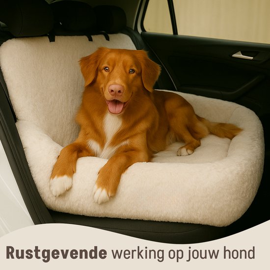 By Cee Cee Autositz Hund Deluxe - Hundekorb Auto mit Sicherheitsgurt - Autokorb Hund - Hundesitz - Autositz - Beige - 120x60 - Größe L