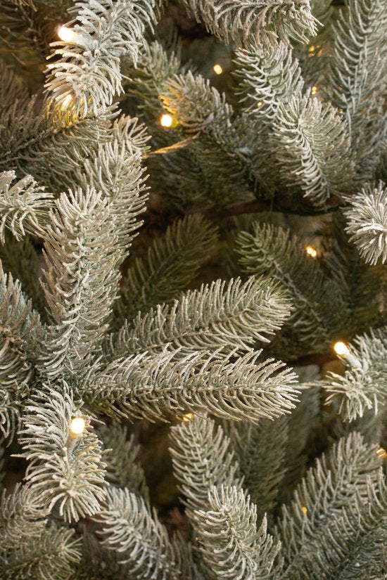 Black Box Trees Nagoya Künstlicher Weihnachtsbaum mit warmweißen LED-Lichtern - H210 x Ø115 cm - Grün gefrostet
