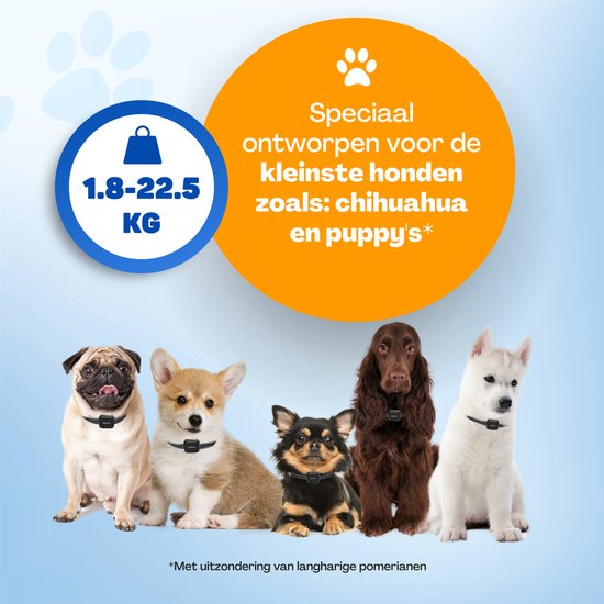 Vulpes Goods® - Anti-Bell-Halsband Mini Vulpes Goods® Anti-Bell-Halsband Mini - Erziehungshalsband ohne Schock - Anti-Bellgerät für kleine Hunde - wasserdicht - wiederaufladbar - Vibration und Audio