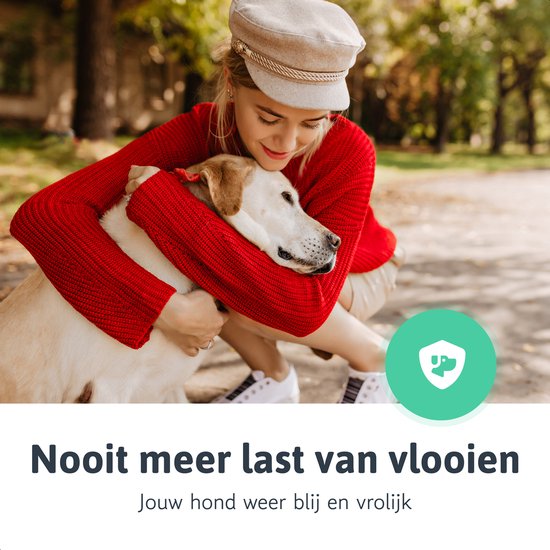 Dutchwide Zecken- und Flohhalsband für Katze und Hund - Tierfreundlich - Geeignet für Katzen, Hunde und Kätzchen - Einheitsgröße