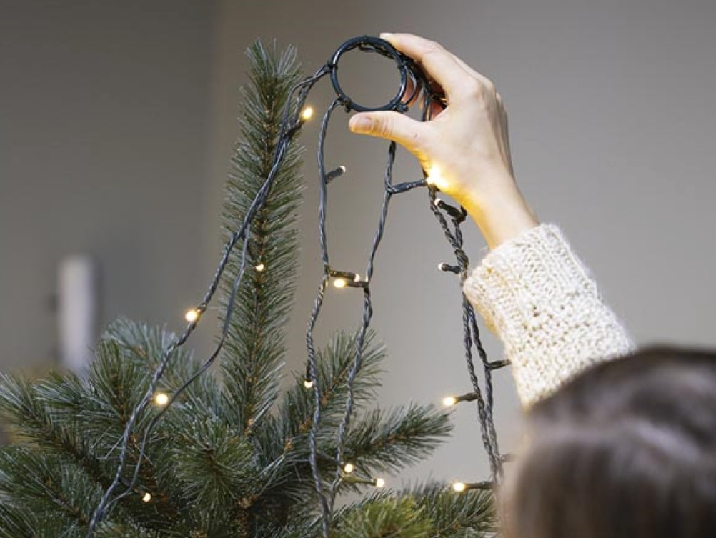 Light Creations Weihnachtsbeleuchtung Speed Light LED Steady – Ausgestattet mit 330 warmweißen LEDs, einem integrierten Modulator und einem 5 Meter langen Stromkabel – Für den Innen- und Außenbereich – Grüner Kunststoff – 240 cm