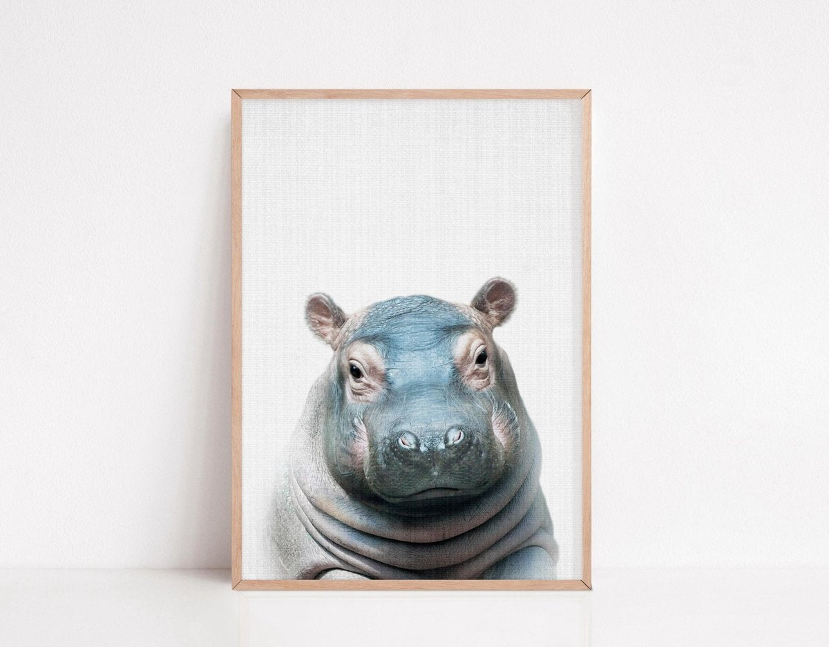 Generic - Tiere Poster - 6 Poster - 21x30 cm - Stabiles Papier - Safari