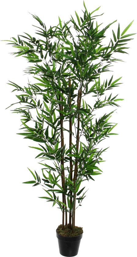 Mica Decorations Bambus-Kunstpflanze - H155 x Ø90 cm - Grün