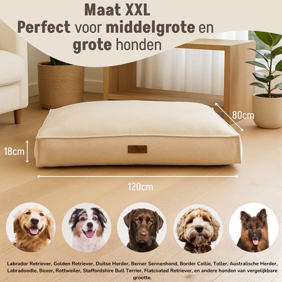 By Cee Cee Orthopädisches Hundekissen - Orthopädisches Hundekörbchen - Hundekissen XXL - Schaumstoffflocken Füllung - Gerippter Stoff Mocha Taupe - 120x80x18cm - Arlo