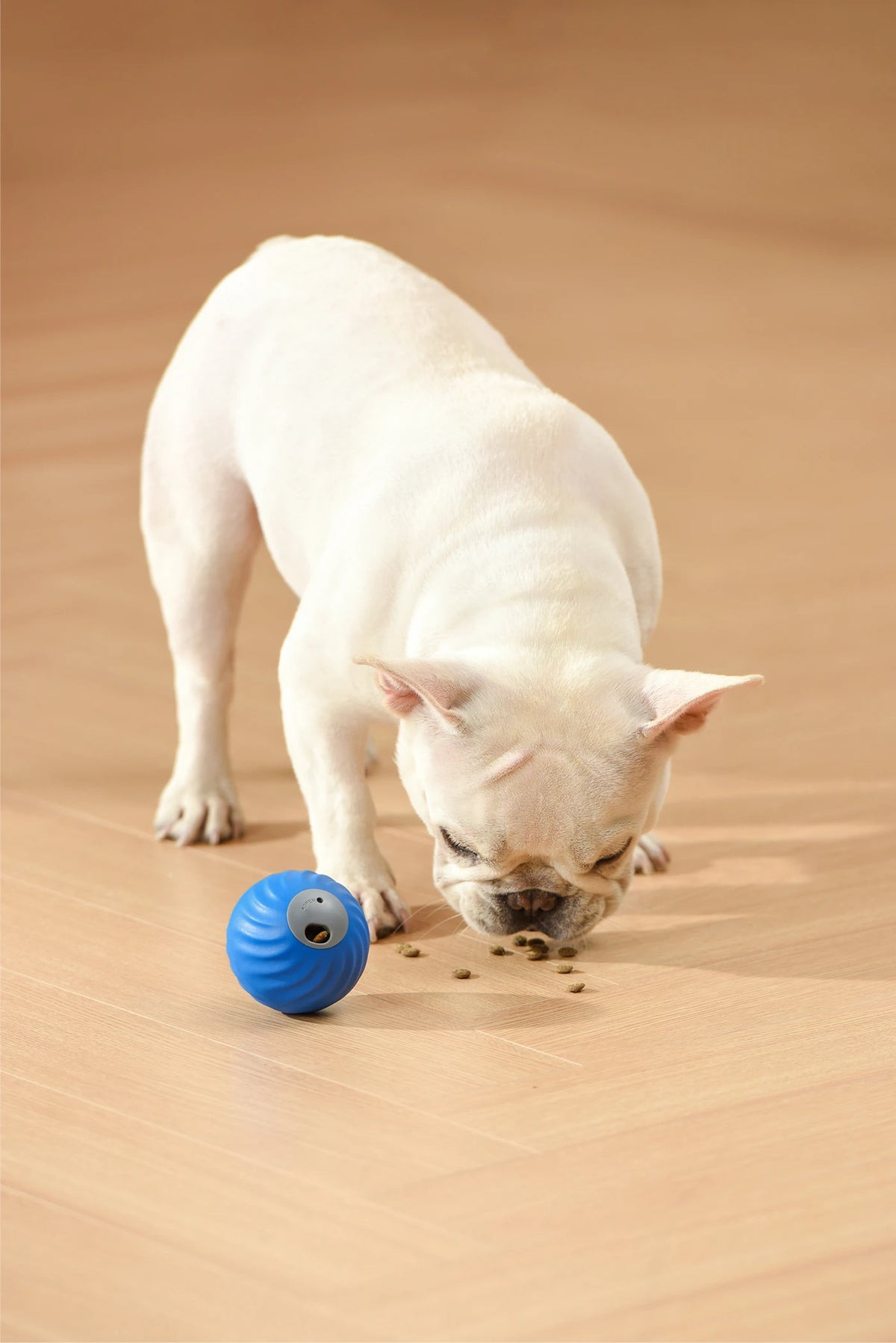 Petgravity Snack Shack Ball Blau