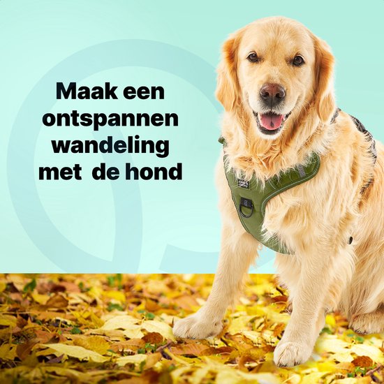 Jake und Jacky - Anti-Zieh-Hundegeschirr - Reflektierend - Größe XL - Grün