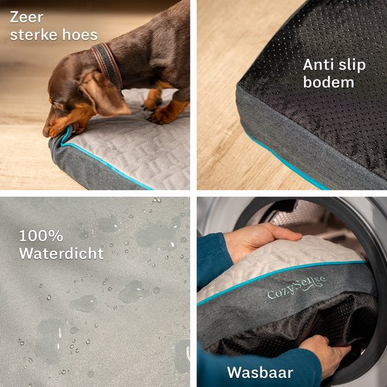 CozySense® - Orthopädisches Hundekissen 60 X 40 Cm - Größe S - Wasserdicht - Geeignet als Sitzkissen & Hundebett