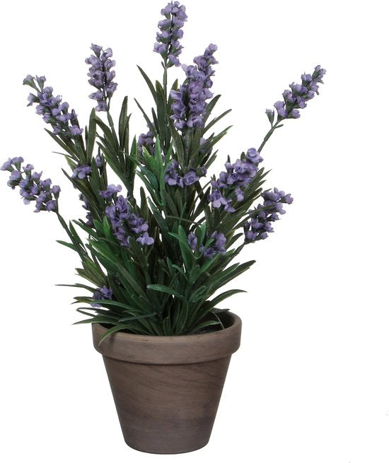 Mica Decorations Kunstpflanze Lavendula/Lavendel – grün/lila – D22 x H33 cm – grauer Topf – Zimmerpflanze – Kunstblumen