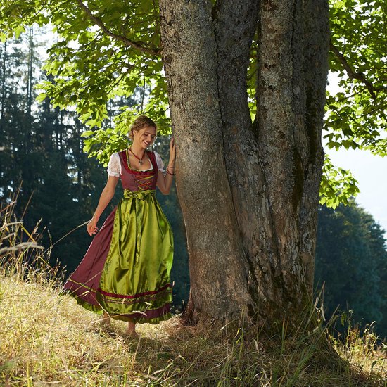 Dressforfun Maxi Dirndl Ruhpolding Modell 2 XL - Faschingskostüm Kostüm Halloween Kostüm Fasching Kostüm Karneval Party Kostüm - 304653