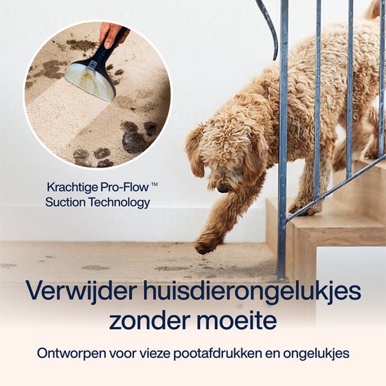 Samako - Teppichreiniger PowerClean Pro - 1800W - Dampfreiniger und Fleckenreiniger - 8 Aufsätze - 100° Dampf