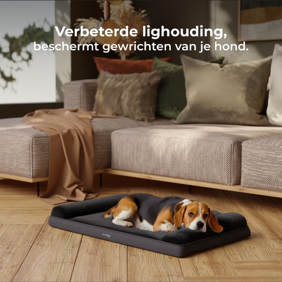 CozySense® Orthopädisches Hundekissen - 60 X 42 cm - Größe S - Wasserfest - Geeignet als Sitzkissen & Hundebett - Waschbarer Bezug - Schwarz