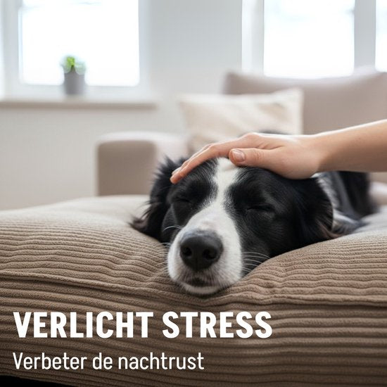 By Cee Cee Orthopädisches Hundekissen - Orthopädisches Hundekörbchen - Hundekissen XXL - Schaumstoffflocken Füllung - Gerippter Stoff Mocha Taupe - 120x80x18cm - Arlo