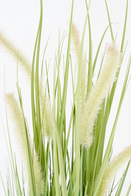Mica Decorations Hundsschwanzgras Künstliche Pflanze - H53 x Ø30 cm - Grün