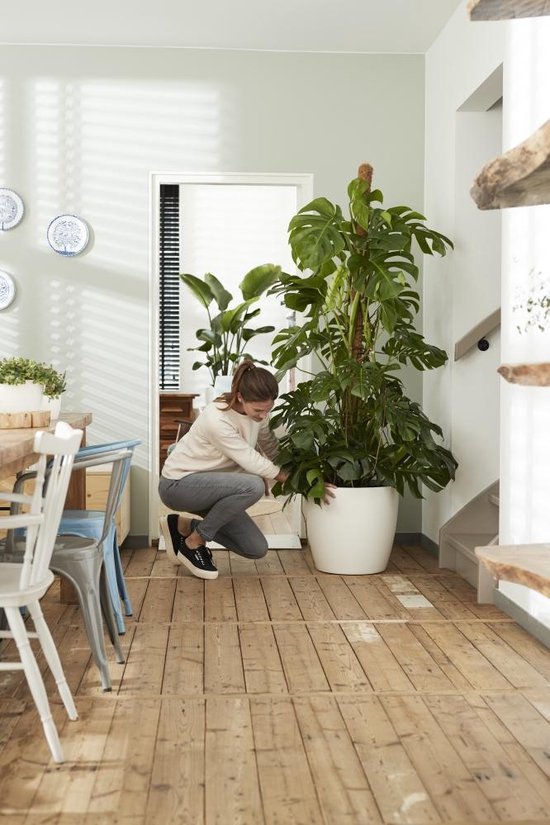 Elho Brussels Rund mit Rädern 35 – Großer Blumentopf für den Innenbereich – 100 % recycelter Kunststoff – Ø 35 x H 33 cm – Weiß