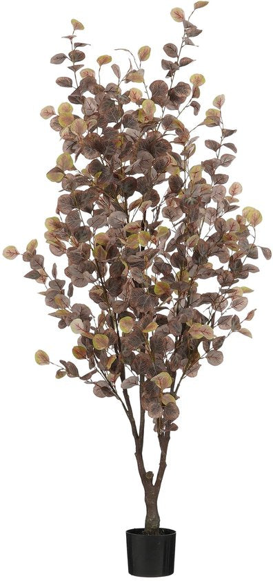 Mica Decorations Eukalyptus Künstliche Pflanze im Blumentopf - H180 x Ø80 cm - Bronze
