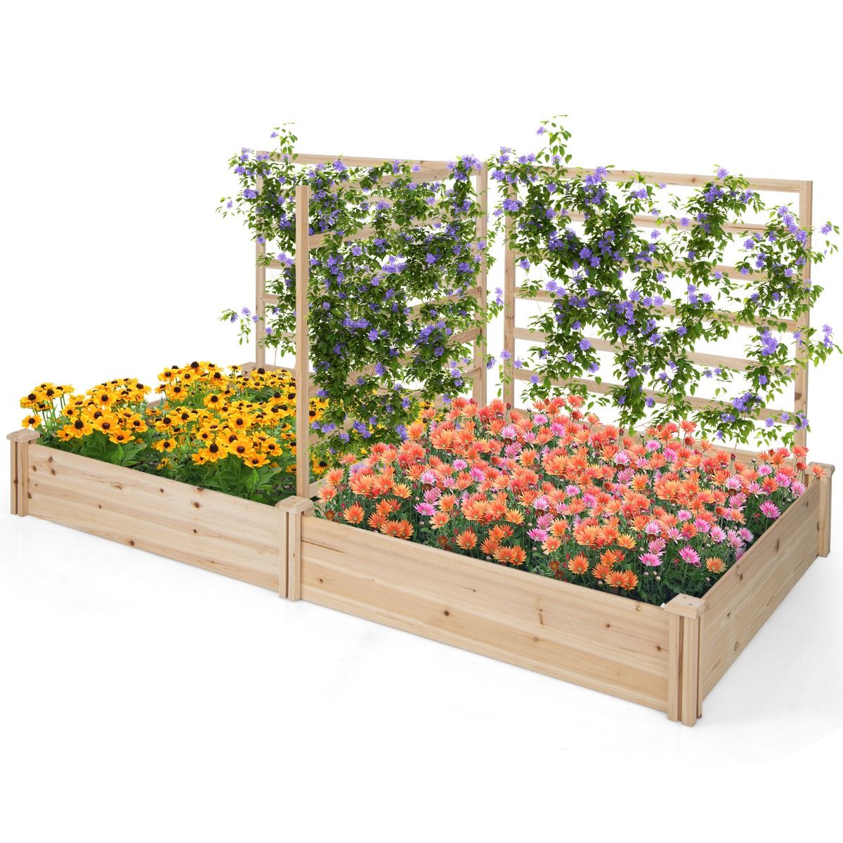 Coast Pflanzkasten aus Holz mit 3 Klettergittern – Hochbeet – Offener Boden – Naturbelassenes Kiefernholz – 222 x 114 x 110 cm