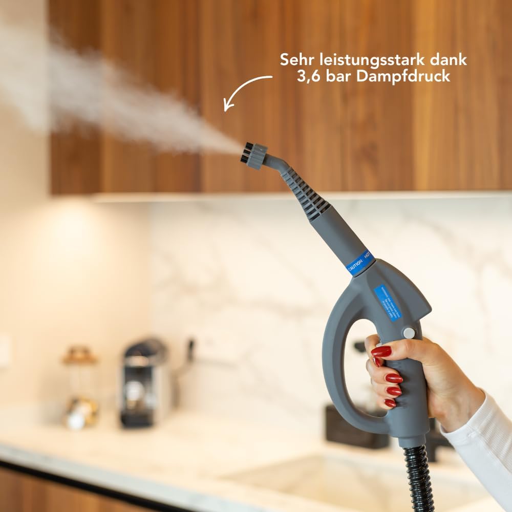 Techweise - TS1 Dampfreiniger (21 Zubehörteile) - 1500W, 45 Min Dampfzeit, 3.6 Bar Druck, 100°C - 40 x 28.2 x 33.5 cm - Kunststoff/Metall - Grau/Schwarz