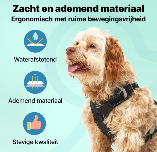 Jake und Jacky Hundegeschirr - Anti-Zieh-Geschirr - Hundegeschirr - Y-Geschirr Hund - Reflektierend - Schwarz - Größe M