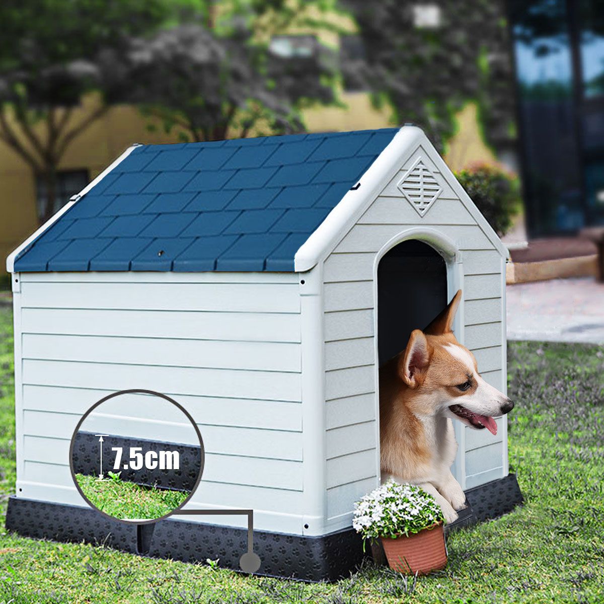 Coast Hundehütte Erhöht - Blau/Weiß - 70 cm x 65 cm x 71,5 cm
