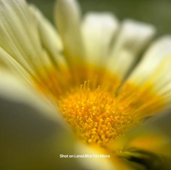 Shiftcam LensUltra 10x Traditional Macro – 10-fache optische Vergrößerung – optisches Glas in DSLR-Qualität – M37-Gewinde – S.Mount