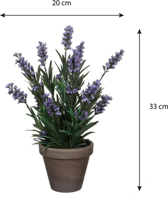 Mica Decorations Kunstpflanze Lavendula/Lavendel – grün/lila – D22 x H33 cm – grauer Topf – Zimmerpflanze – Kunstblumen