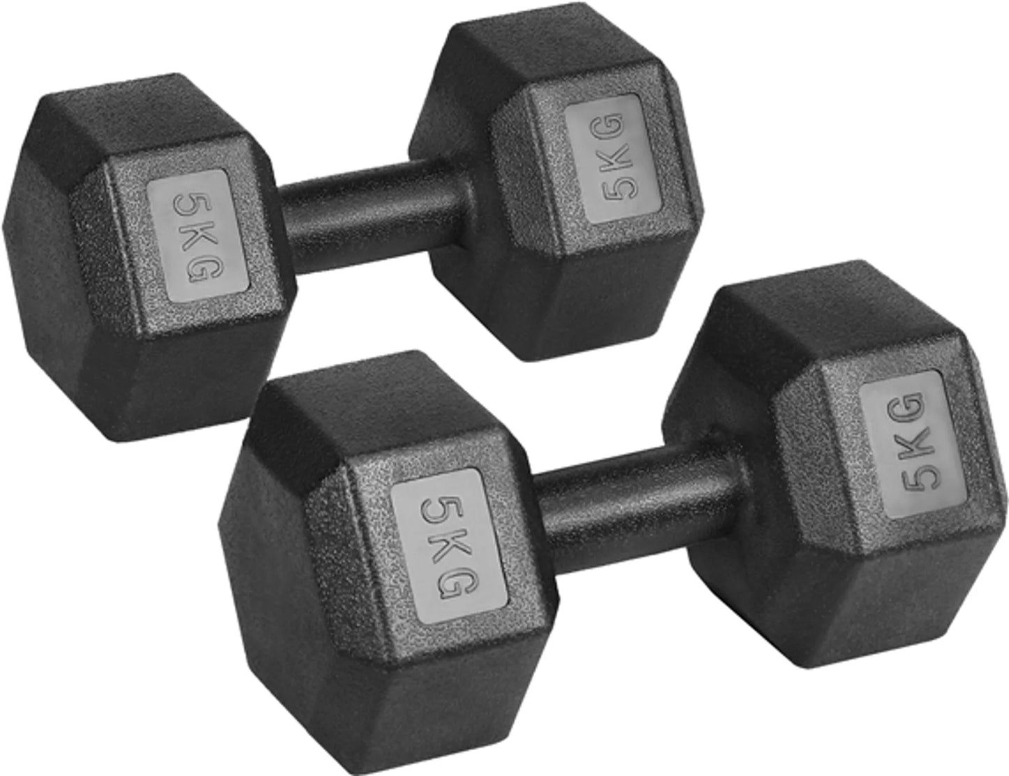Yaheetech Hanteln Set von 2 x 5 kg - Features Hexagonal Kopf und Anti-Roll-Design und Kunststoffbeschichtung - für Krafttraining und Home Gym - Schwarz Kunststoff und Beton - 28,5 x 15 x 13 cm