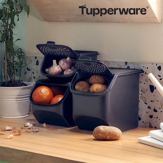 Tupperware GarlicSmart 2,3 l – Knoblauchbehälter – BPA-frei – Aufbewahrungsbehälter für Knoblauch – stapelbar – Keep-Fresh-Behälter – Knoblauch bleibt länger frisch