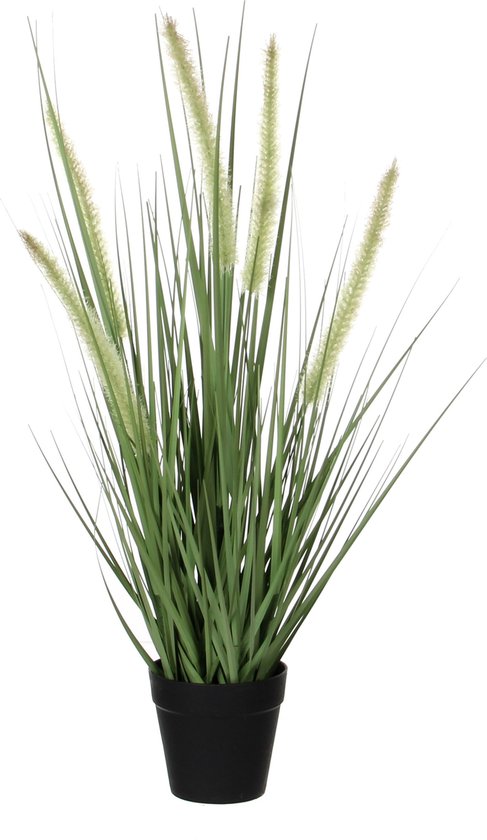 Mica Decorations Hundsschwanzgras Künstliche Pflanze - H53 x Ø30 cm - Grün