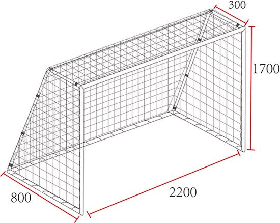 AXI Fußballtor Kylian 220 x 170 cm Anthrazit – inkl. Bodenanker – pulverbeschichteter Stahlrahmen