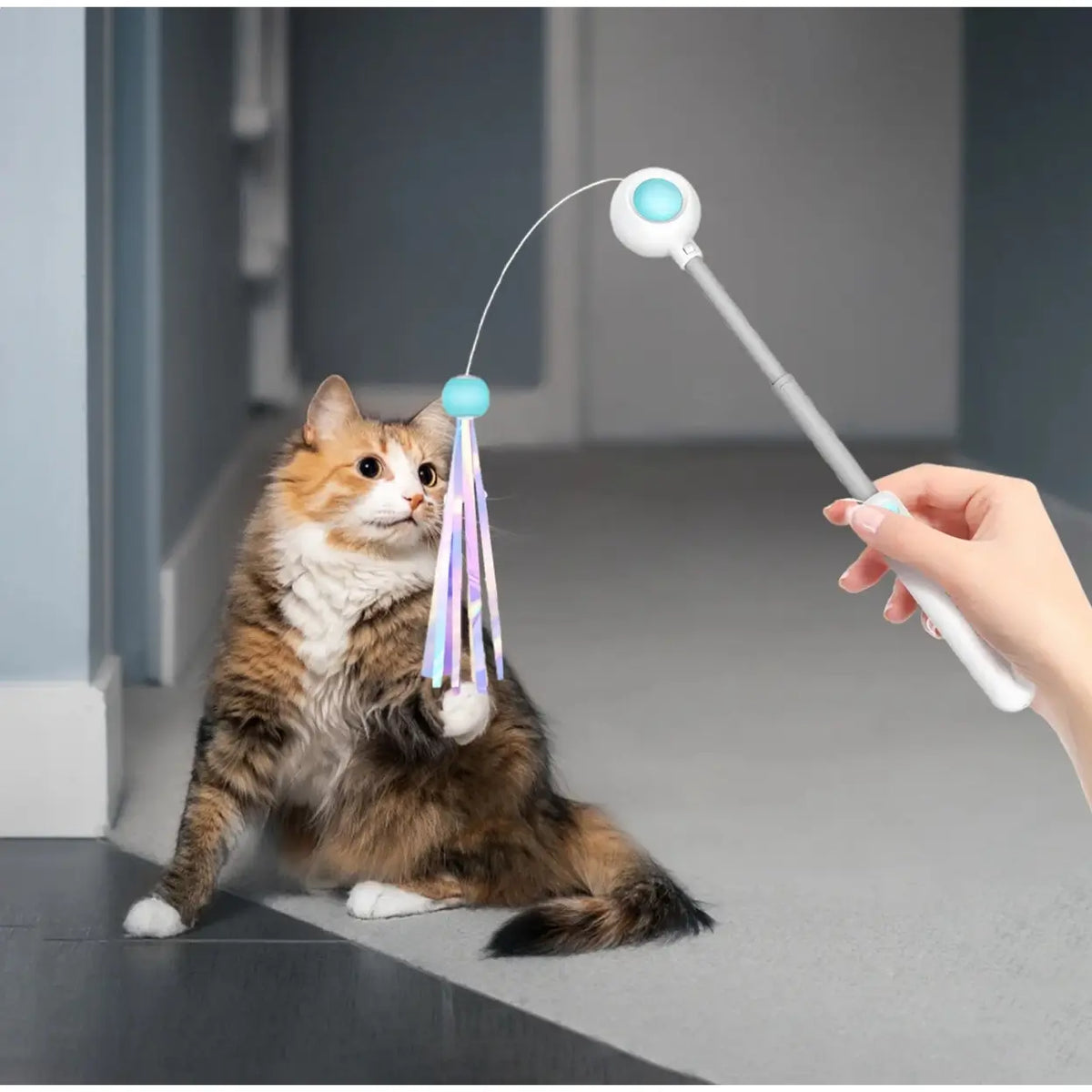 Petgravity ausziehbare Katzenangel – blau