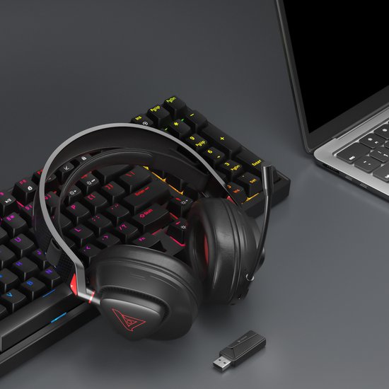 TAIDU THS318 2.4GHz Wireless Gaming Headset - Over-Ear-Kopfhörer - mit Mikrofon - Geeignet für PS4/PS5, Nintendo Switch - Schwarz