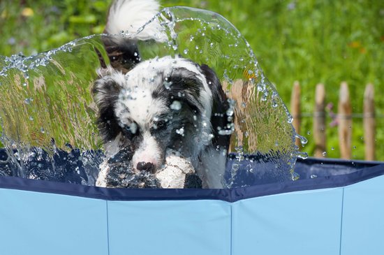 Maxxpro Hundepool - 160 x 30 CM - für große Hunde - faltbar - Anti-Rutsch-Boden - mit Entleerungsventil - Blau