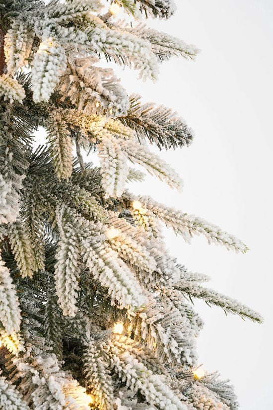 Black Box Trees Kunstweihnachtsbaum mit Beleuchtung sowie Timer- und Dimmfunktion – H 155 x Ø 48 cm – Grün