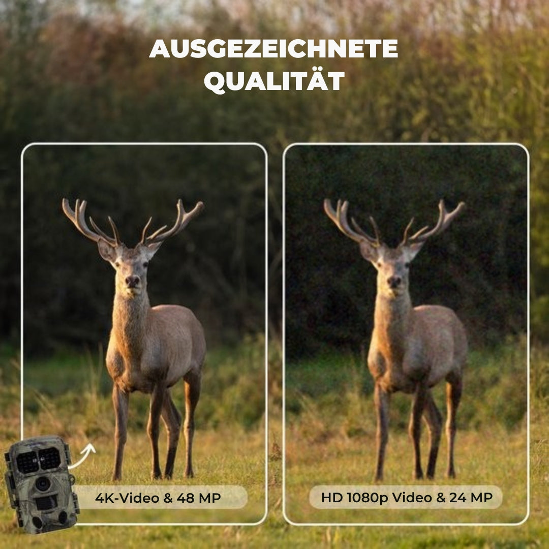 Denver Wildkamera mit Nachtsicht und WiFi - 4K Ultra HD - LCD-Bildschirm - Wasserdicht - WCT8026