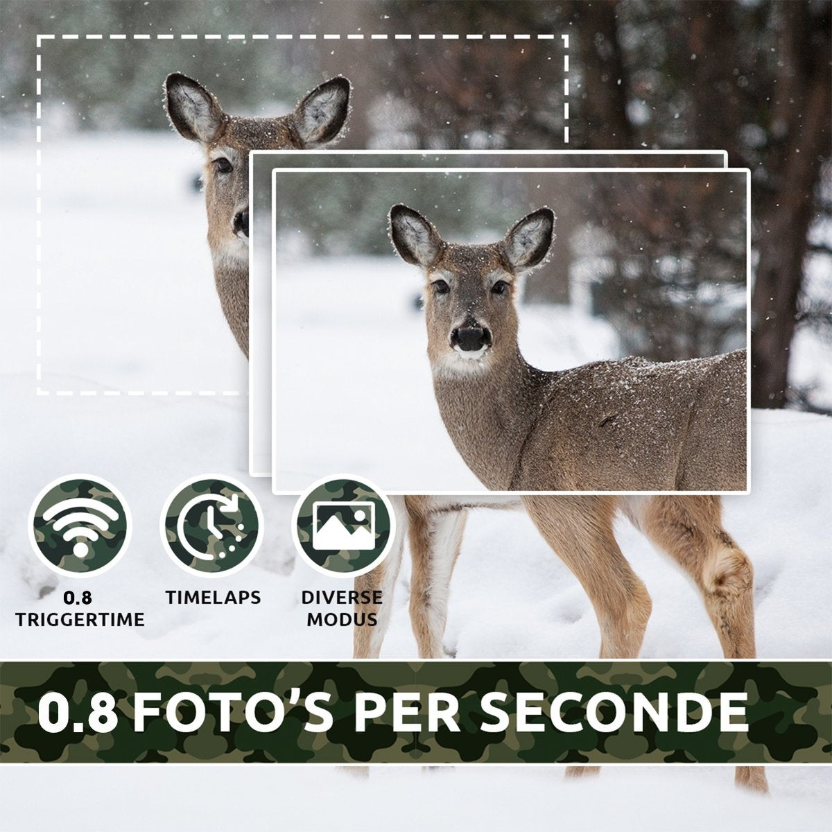 AyeCam Wildtierkamera - Drahtlos - Wildtierkamera mit Nachtsicht - Infrarotkamera - inkl. 32 GB SD-Karte