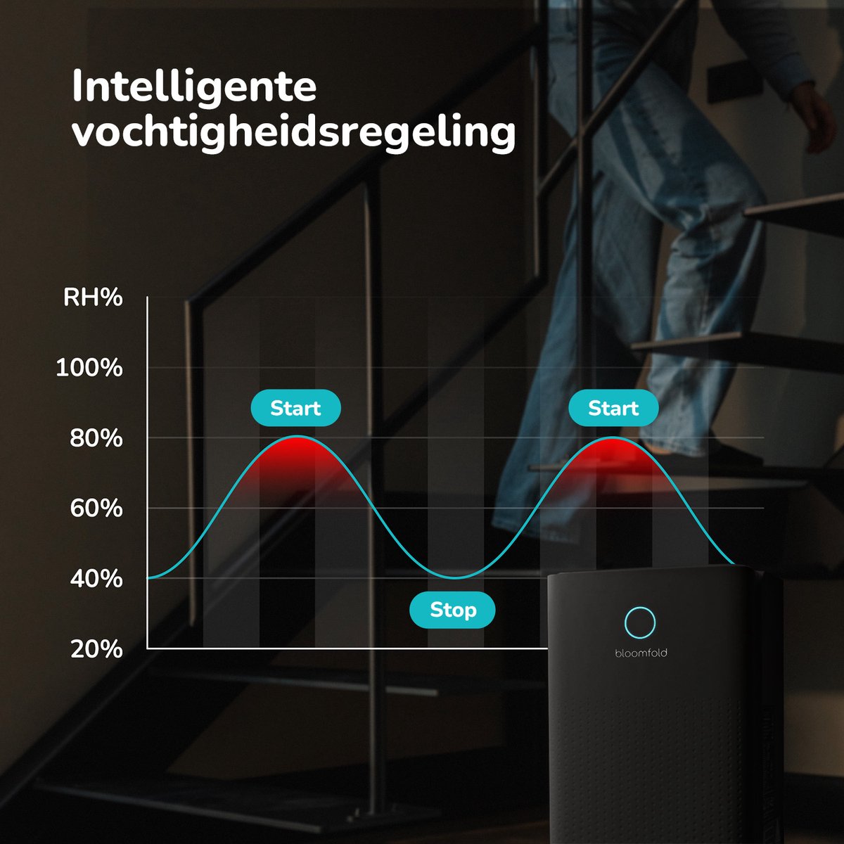Bloomfold Luftentfeuchter - 12L pro Tag - Wohnzimmer, Schlafzimmer, Keller & Badezimmer - Luftentfeuchter - Schwarz