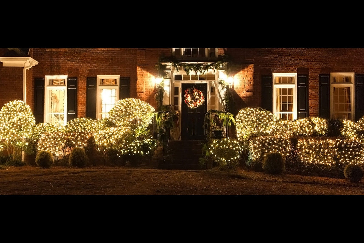 Deuba-Weihnachtslichternetz mit 160 warm-weißen LEDs | für den Innen- und Außenbereich | 200 x 150 cm | MIT Fernbedienung