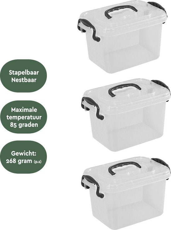 BRASQ Aufbewahrungsbox 6 Liter – 3er-Set – Aufbewahrungsbox aus Kunststoff – transparent – Aufbewahrungsbehälter – Aufbewahrungsbox mit Deckel