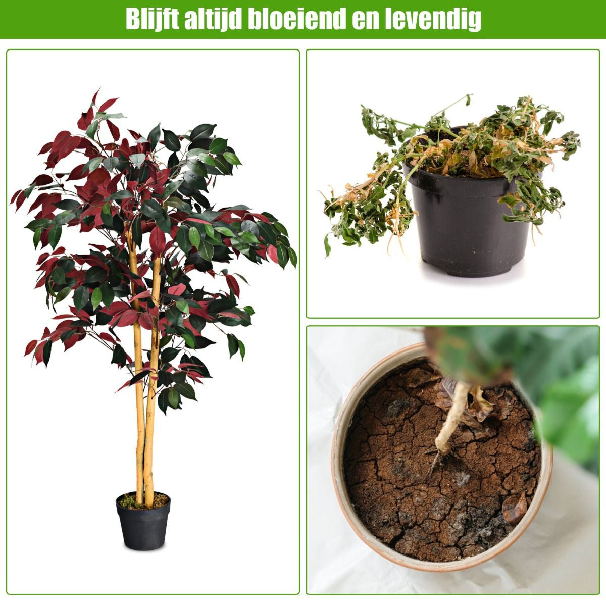 Küste 120 cm großer grüner Ficusbaum im Topf mit Kunstbaum realistische Grünpflanzen
