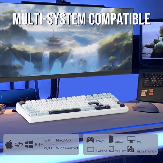 EPOMAKER x AULA F99 – Weiß/Blau – Mechanische kabellose Tastatur – RGB – 100 % – QWERTY – Gaming-Tastatur – Leobog Reaper Switch
