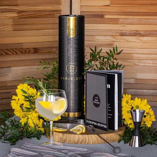 BarDeluxe® Cocktail Set - 12-teilig - Cocktail Shaker Set (750ml) - Luxuriöses Geschenkpaket - inklusive holländischem Rezeptbuch
