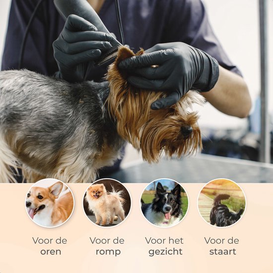 Dutchwide Groommate Kabellose Tierschermaschine - Inkl. 4 Aufsätze - schwarz