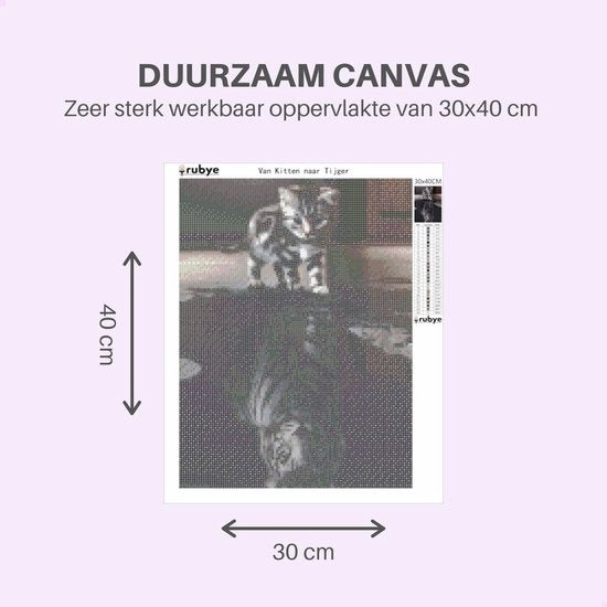 Rubye Diamond Painting Volwassenen - Diamond Painting Kinderen - Diamond Painting Pakket Volledig - Kitten naar Tijger - 42x42cm