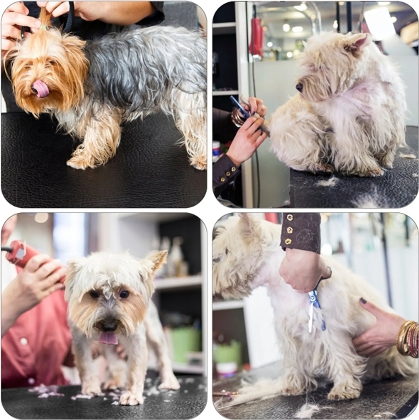 Yaheetech klappbarer Pflegetisch - ausgestattet mit höhenverstellbarem Ständer und abnehmbarem Trageriemen und rutschfester Arbeitsplatte - für Hunde und Katzen - schwarzes Metall und PU-Leder - 80,5 x 46 x 76 cm